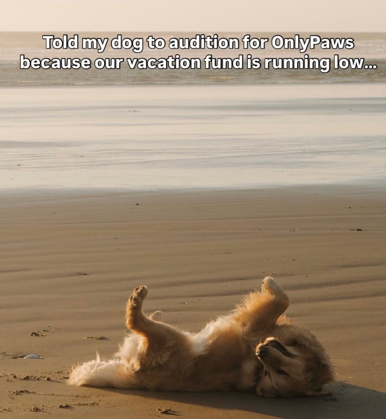 Told my dog to audition for OnlyPaws because our vacation fund is running low...