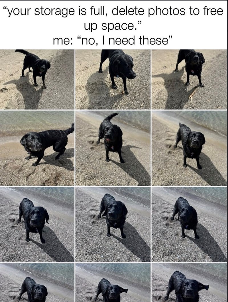 "your storage is full, delete photos to free up space. me: "no, I need these"