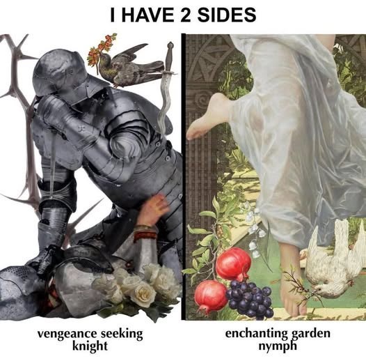 I HAVE 2 SIDES vengeance seeking knight enchanting garden nymph