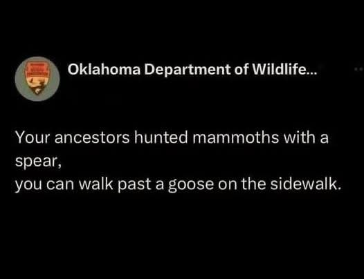 Oklahoma Department of Wildlife... Your ancestors hunted mammoths with a spear, you can walk past a goose on the sidewalk.