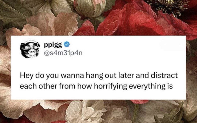 ppigg @s4m31p4n Hey do you wanna hang out later and distract each other from how horrifying everything is