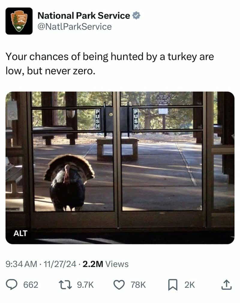 National Park Service @NatlParkService Your chances of being hunted by a turkey are low, but never zero. ALT 9:34 AM 11/27/24 2.2M Views 662 19.7K 78K ☐ 2K ↑