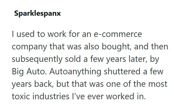 Sparklespanx I used to work for an e-commerce company that was also bought, and then subsequently sold a few years later, by Big Auto. Autoanything shuttered a few years back, but that was one of the most toxic industries I've ever worked in.