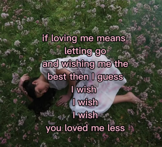 if loving me means letting go and wishing me the best then I guess I wish I wish I wish you loved me less