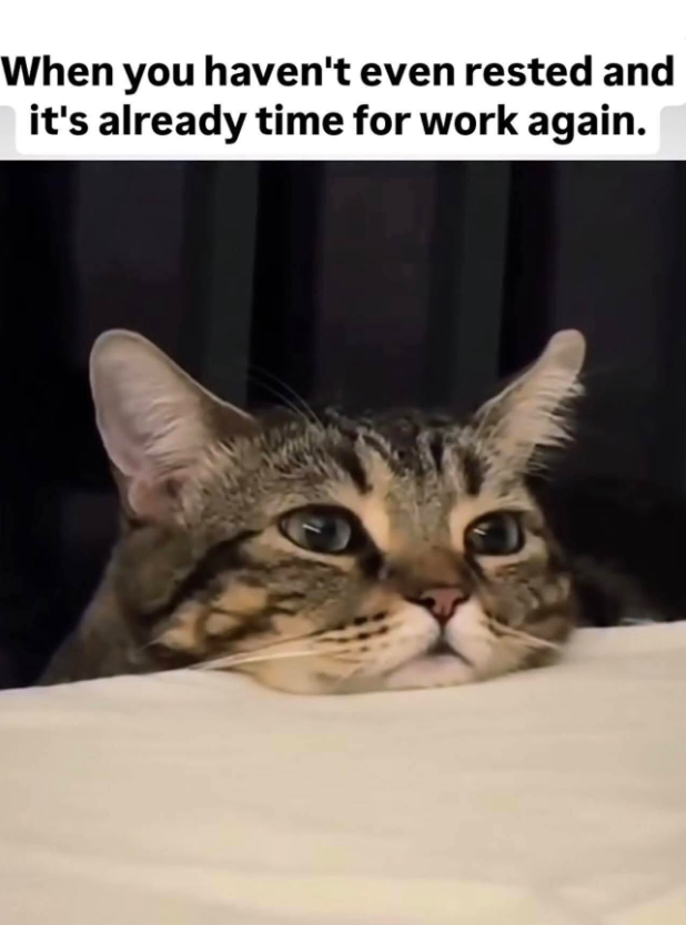 When you haven't even rested and it's already time for work again.