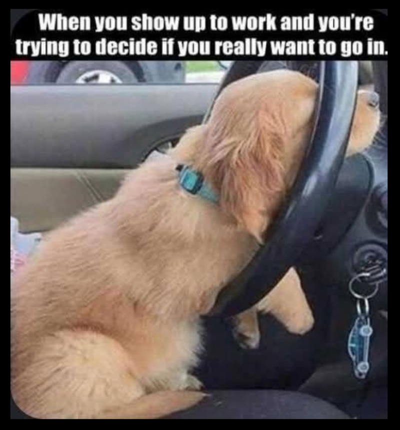 When you show up to work and you're trying to decide if you really want to go in.