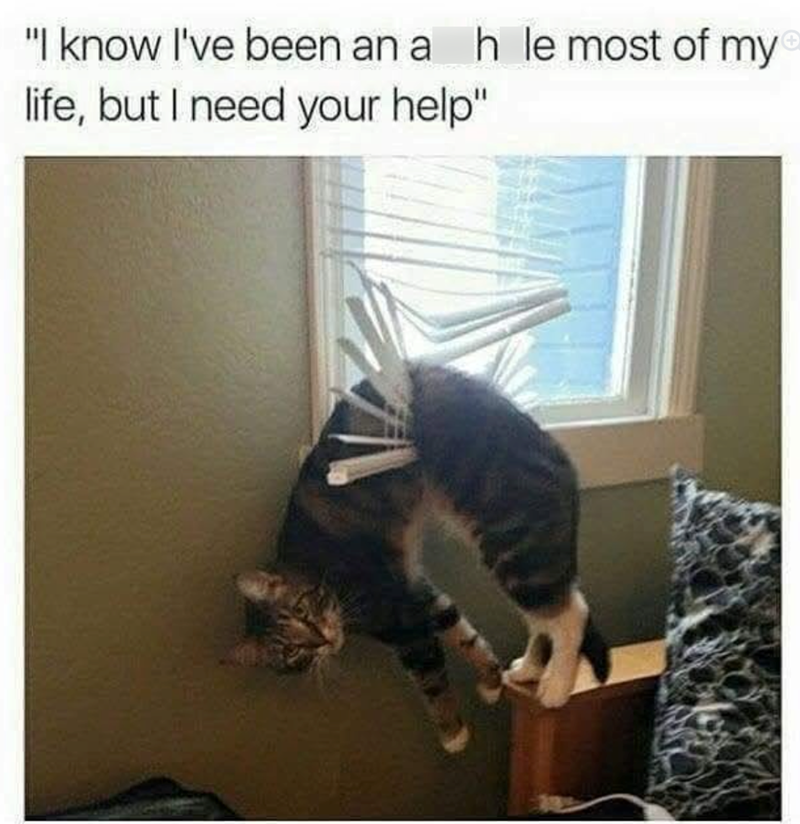"I know I've been an a h le most of my life, but I need your help"