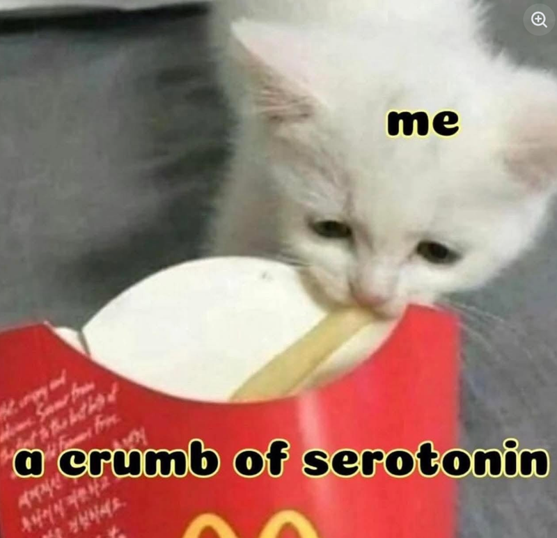 Same from me 세계적인 경험하세요. a crumb of serotonin