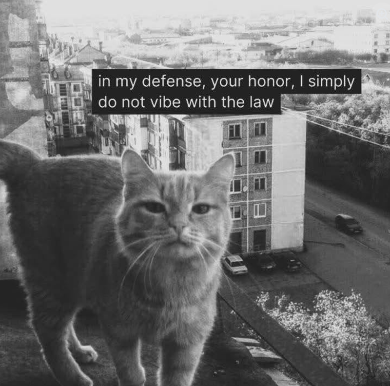 in my defense, your honor, I simply do not vibe with the law