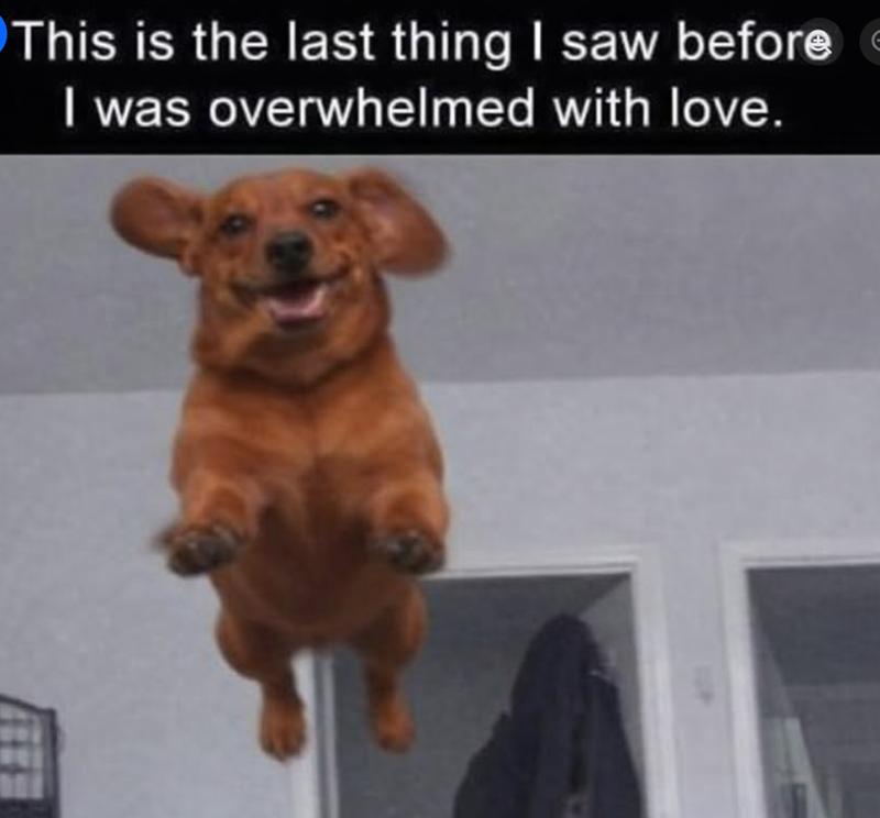 This is the last thing I saw before I was overwhelmed with love.