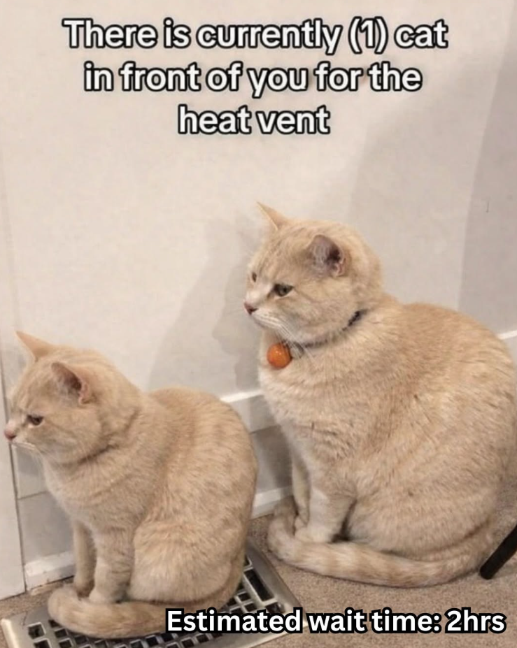 There is currently (1) cat in front of you for the heat vent Estimated wait time: 2hrs