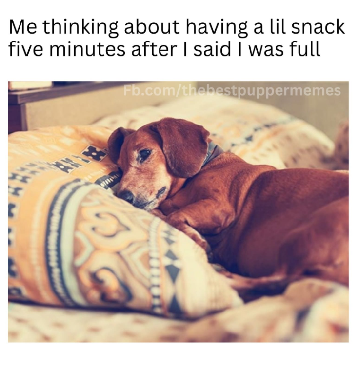 Me thinking about having a lil snack five minutes after I said I was full Fb.com/thebestpuppermemes H