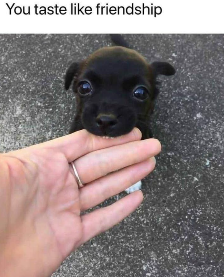 You taste like friendship