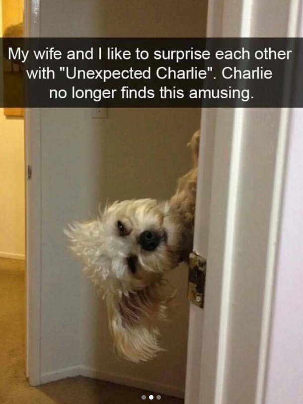 My wife and I like to surprise each other with "Unexpected Charlie". Charlie no longer finds this amusing.