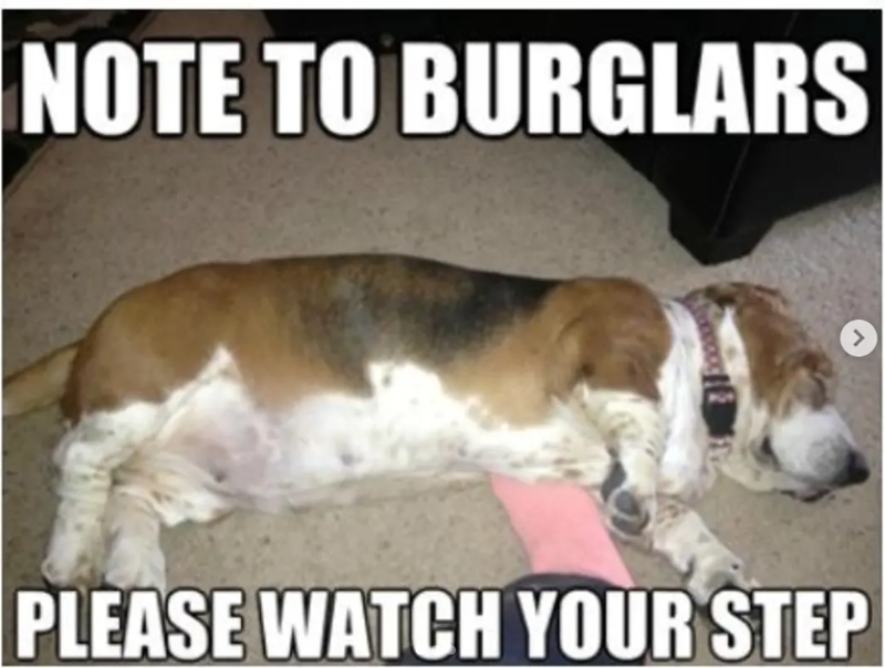 NOTE TO BURGLARS PLEASE WATCH YOUR STEP