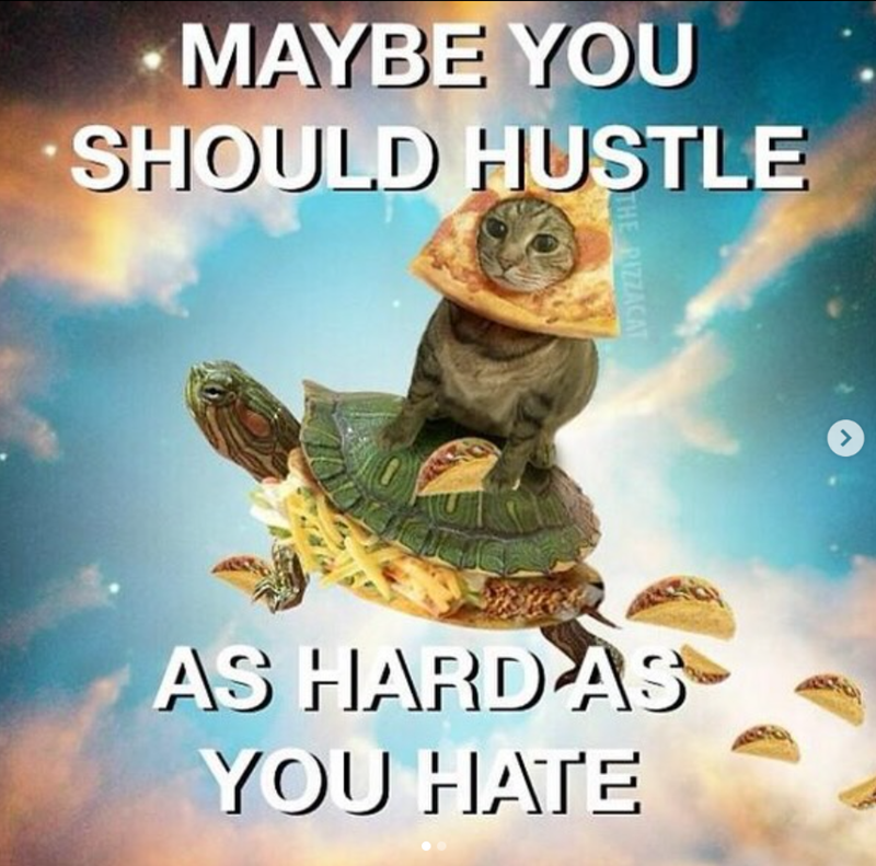 MAYBE YOU SHOULD HUSTLE THE PIZZACAT AS HARD AS YOU HATE