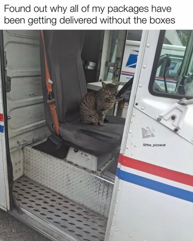 Found out why all of my packages have been getting delivered without the boxes 719 ww STATES @the_pizzacat