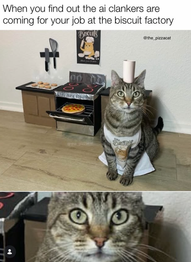 When you find out the ai clankers are coming for your job at the biscuit factory BISCUITS @the_pizzacat the pizzacat