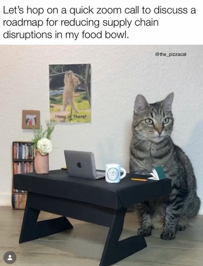 Let's hop on a quick zoom call to discuss a roadmap for reducing supply chain disruptions in my food bowl. Hang in there! @the_pizzacat