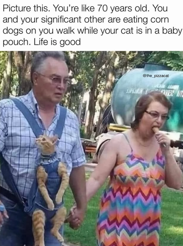 Picture this. You're like 70 years old. You and your significant other are eating corn dogs on you walk while your cat is in a baby pouch. Life is good @the_pizzacat