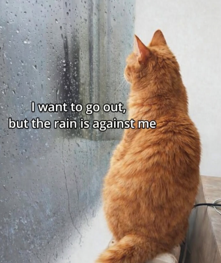 I want to go out, but the rain is against me
