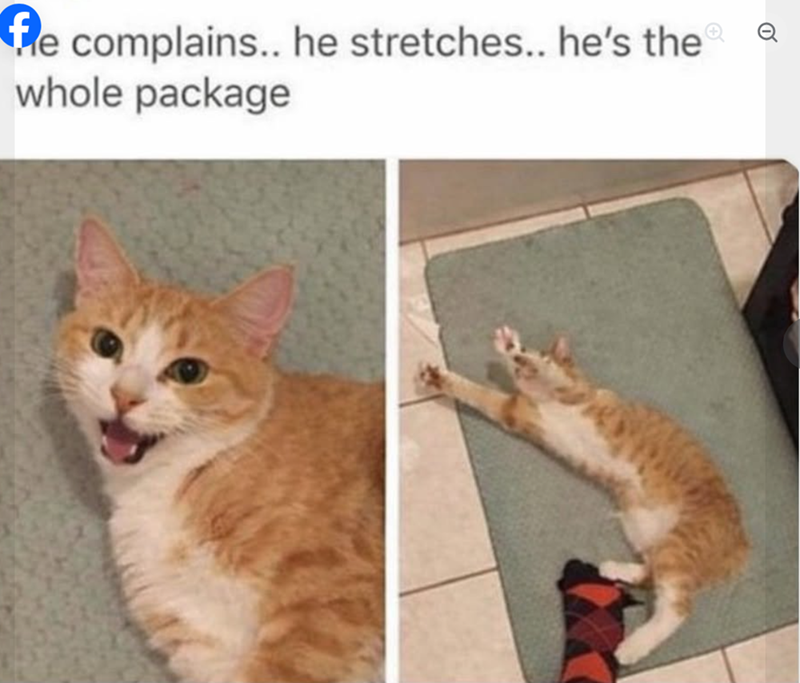 fe complains.. he stretches.. he's the whole package