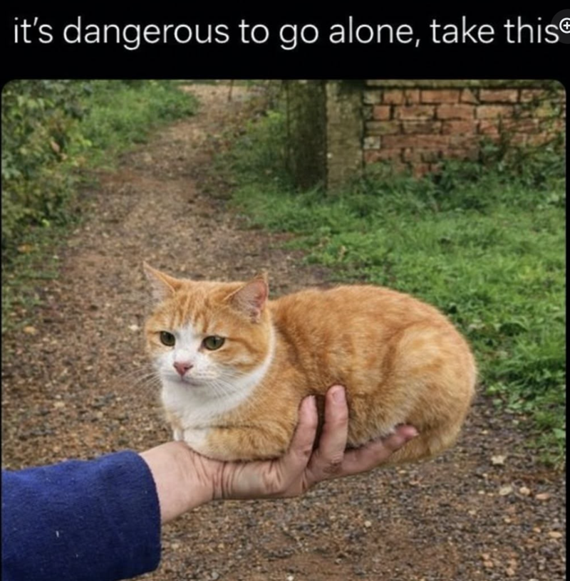 it's dangerous to go alone, take this