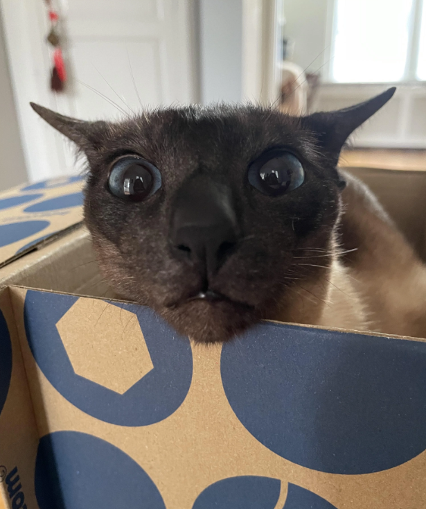 wa
