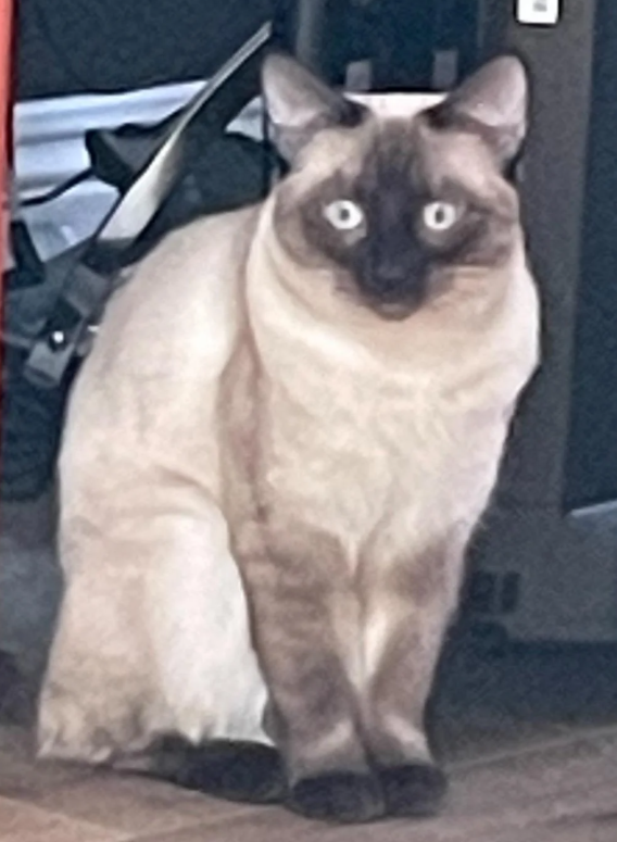 O