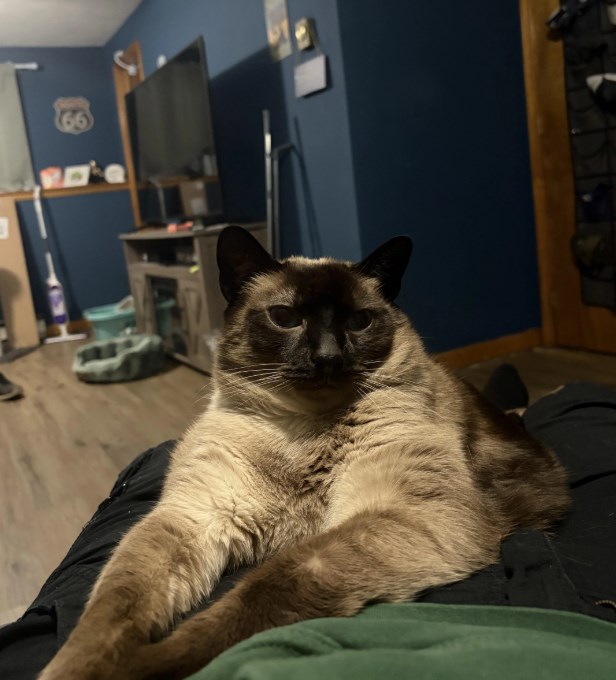 99