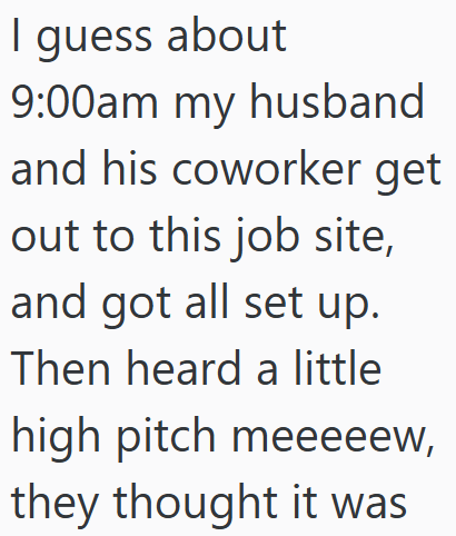 I guess about 9:00am my husband and his coworker get out to this job site, and got all set up. Then heard a little high pitch meeeeew, they thought it was