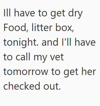 Ill have to get dry Food, litter box, tonight. and I'll have to call my vet tomorrow to get her checked out.