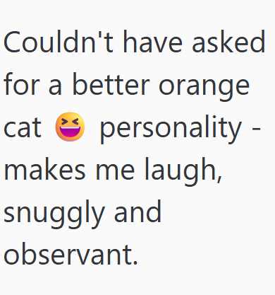 Couldn't have asked for a better orange cat personality - makes me laugh, snuggly and observant.