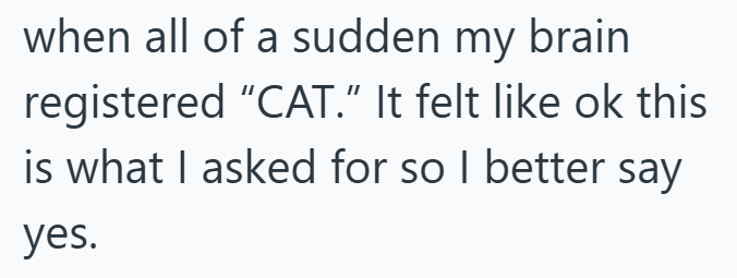 when all of a sudden my brain registered "CAT." It felt like ok this is what I asked for so I better say yes.