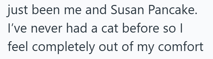 just been me and Susan Pancake. I've never had a cat before so I feel completely out of my comfort