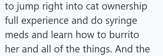 to jump right into cat ownership full experience and do syringe meds and learn how to burrito her and all of the things. And the