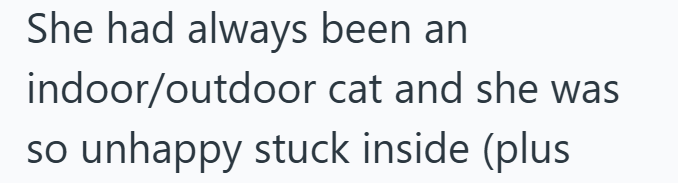 She had always been an indoor/outdoor cat and she was so unhappy stuck inside (plus