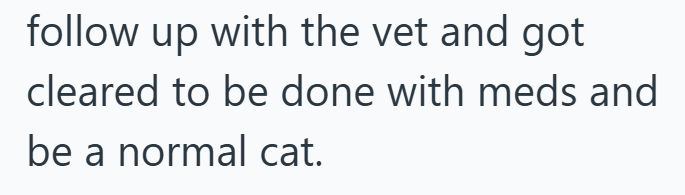 follow up with the vet and got cleared to be done with meds and be a normal cat.