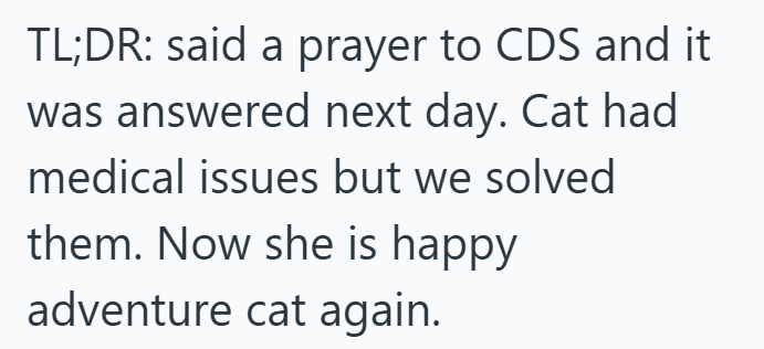 TL;DR: said a prayer to CDS and it was answered next day. Cat had medical issues but we solved them. Now she is happy adventure cat again.