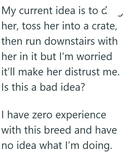 My current idea is to c her, toss her into a crate, then run downstairs with her in it but I'm worried it'll make her distrust me. Is this a bad idea? I have zero experience with this breed and have no idea what I'm doing.