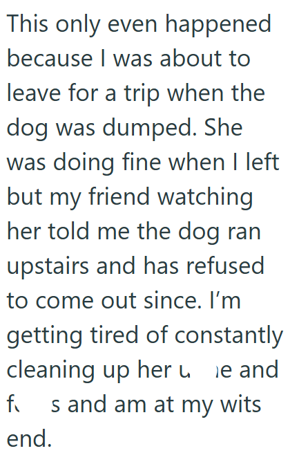 This only even happened because I was about to leave for a trip when the dog was dumped. She was doing fine when I left but my friend watching her told me the dog ran upstairs and has refused to come out since. I'm getting tired of constantly cleaning up here and fs and am at my wits end.