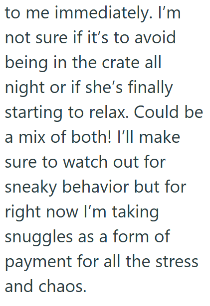 to me immediately. I'm not sure if it's to avoid being in the crate all night or if she's finally starting to relax. Could be a mix of both! I'll make sure to watch out for sneaky behavior but for right now I'm taking snuggles as a form of payment for all the stress and chaos.