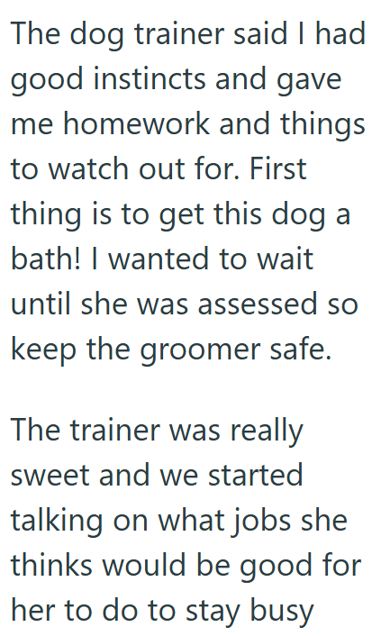 The dog trainer said I had good instincts and gave me homework and things to watch out for. First thing is to get this dog a bath! I wanted to wait until she was assessed so keep the groomer safe. The trainer was really sweet and we started talking on what jobs she thinks would be good for her to do to stay busy