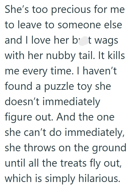 She's too precious for me to leave to someone else and I love her b't wags with her nubby tail. It kills me every time. I haven't found a puzzle toy she doesn't immediately figure out. And the one she can't do immediately, she throws on the ground until all the treats fly out, which is simply hilarious.