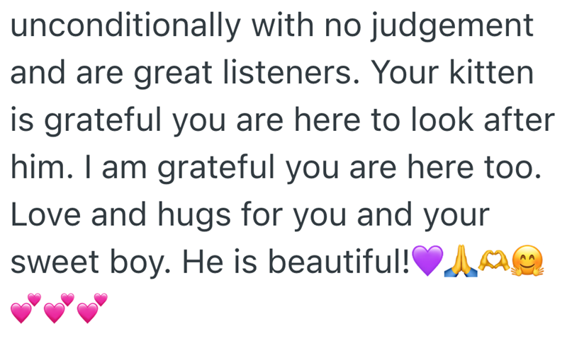 unconditionally with no judgement and are great listeners. Your kitten is grateful you are here to look after him. I am grateful you are here too. Love and hugs for you and your sweet boy. He is beautiful! ❤ag