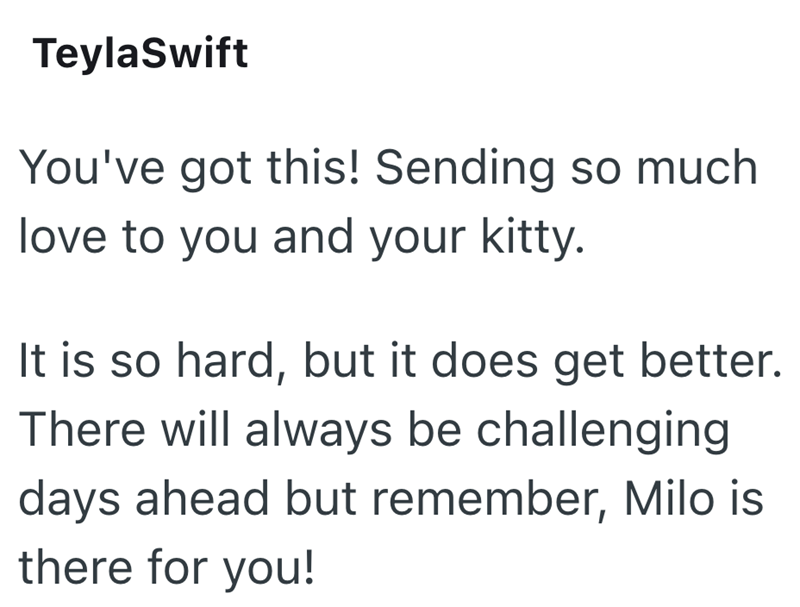 TeylaSwift You've got this! Sending so much love to you and your kitty. It is so hard, but it does get better. There will always be challenging days ahead but remember, Milo is there for you!