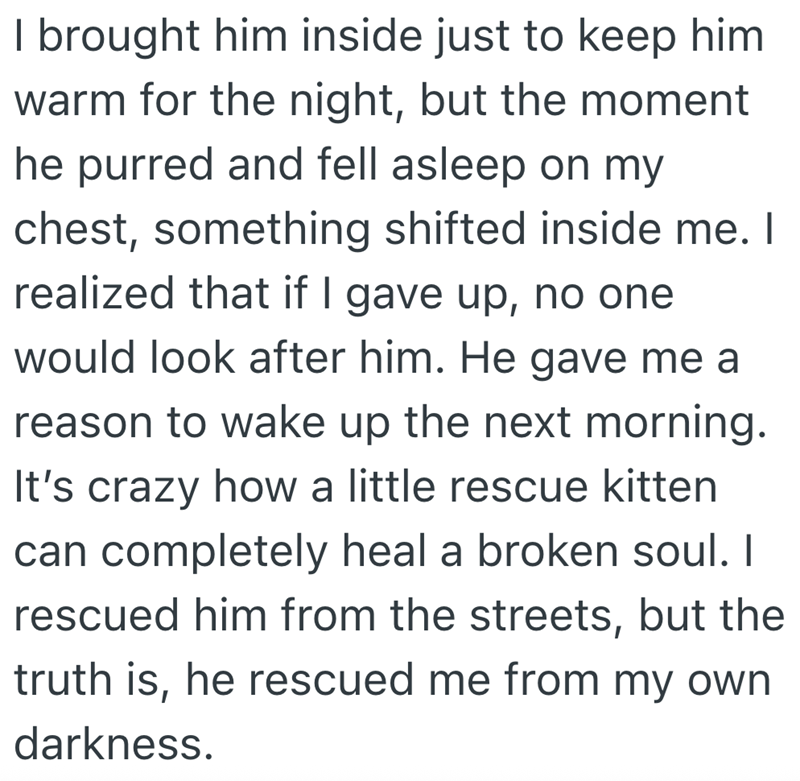 I brought him inside just to keep him warm for the night, but the moment he purred and fell asleep on my chest, something shifted inside me. I realized that if I gave up, no one would look after him. He gave me a reason to wake up the next morning. It's crazy how a little rescue kitten can completely heal a broken soul. I rescued him from the streets, but the truth is, he rescued me from my own darkness.