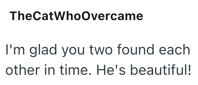 TheCatWhoOvercame I'm glad you two found each other in time. He's beautiful!