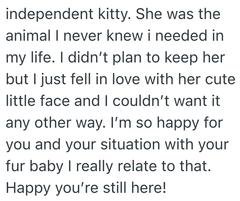 independent kitty. She was the animal I never knew i needed in my life. I didn't plan to keep her but I just fell in love with her cute little face and I couldn't want it any other way. I'm so happy for you and your situation with your fur baby I really relate to that. Happy you're still here!