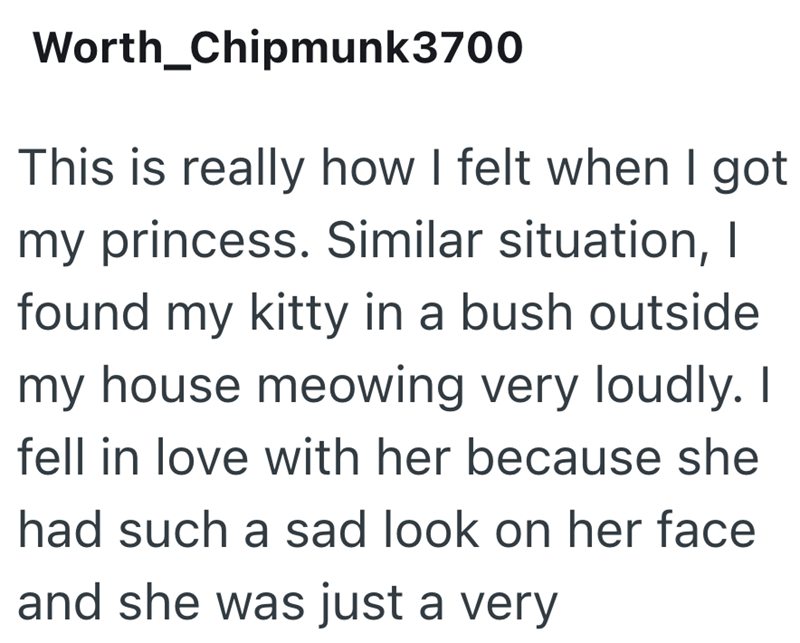 Worth_Chipmunk3700 This is really how I felt when I got my princess. Similar situation, I found my kitty in a bush outside my house meowing very loudly. I fell in love with her because she had such a sad look on her face and she was just a very